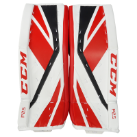 GPP2.5 PRE SR PADS CCM CHIC