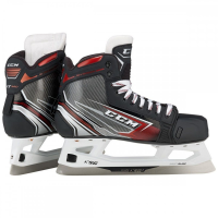 SKG CCM JS FT460 SR D