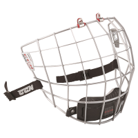 FM CCM RES 300 SLV